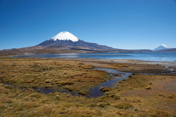 Ηφαίστειο parinacota — Φωτογραφία Αρχείου