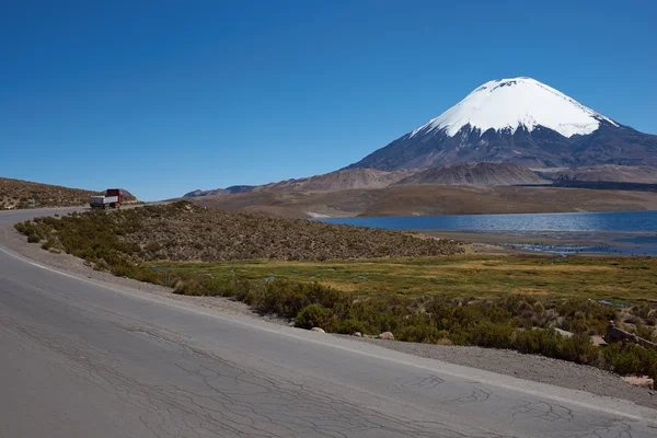 Vulcanul Parinacota — Fotografie, imagine de stoc