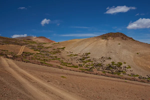 Tonos de marrón — Foto de Stock