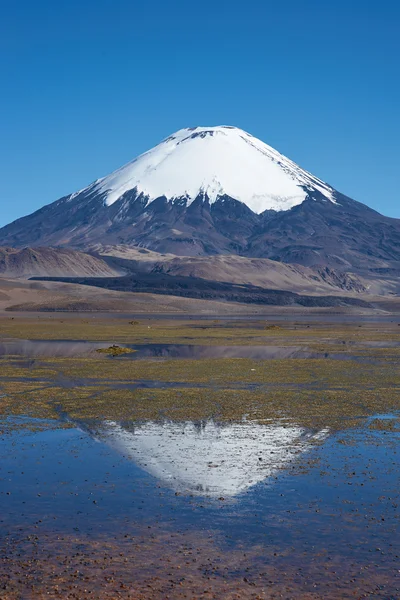 Volcán Parinacota — Foto de Stock