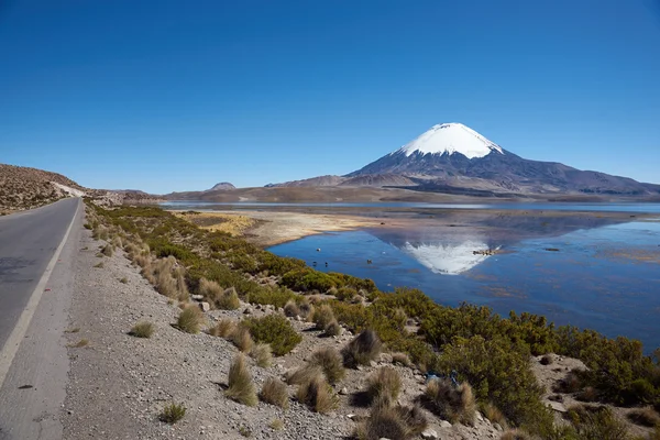 Parinacota Volcano — Stock Photo, Image