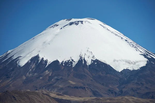 Vulkan Parinacota — Stockfoto