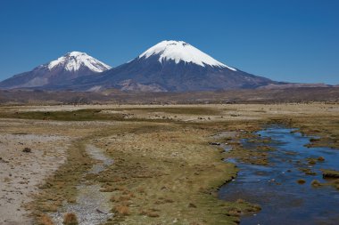 Volkanlar Altiplano üzerinde