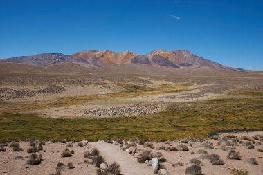 Altiplano