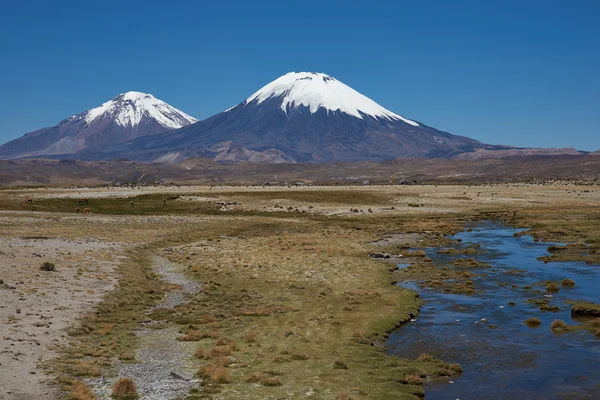 Volcanoes on the Altiplano — Stock Photo, Image