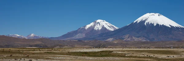 Panorama do altiplano — Fotografia de Stock