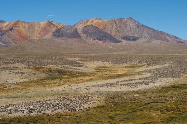 Altiplano — Foto de Stock