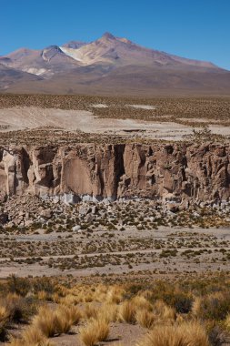 Lauca Millî Parkı