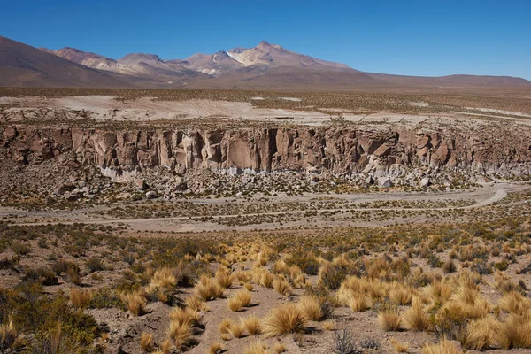 Parco Nazionale Lauca — Foto Stock