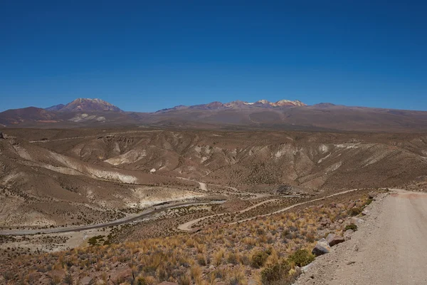 Canyon in de Altiplano — Stockfoto