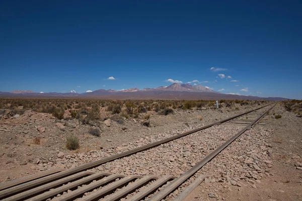 Railway Across the Altiplano — Stock Photo, Image