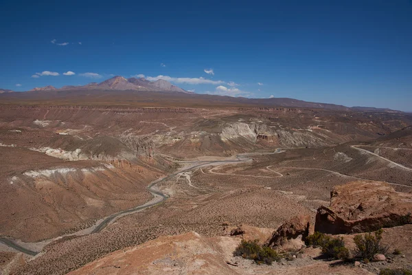 Canyon dans l'Altiplano — Photo