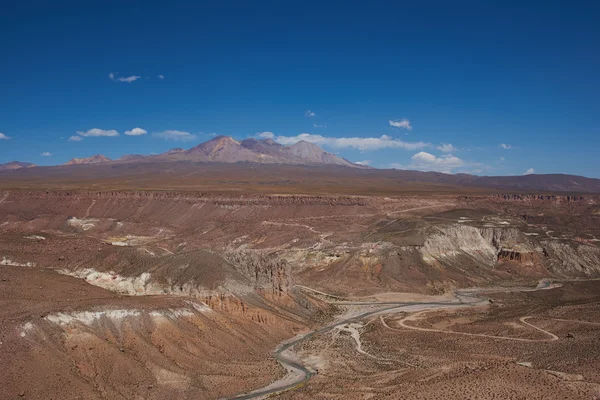 Canyon dans l'Altiplano — Photo