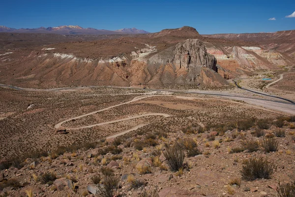 Cañón en el Altiplano — Foto de Stock