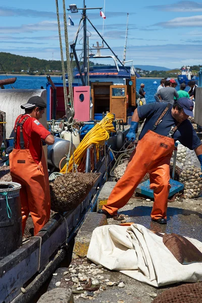 Landing Clams — Stock Photo, Image