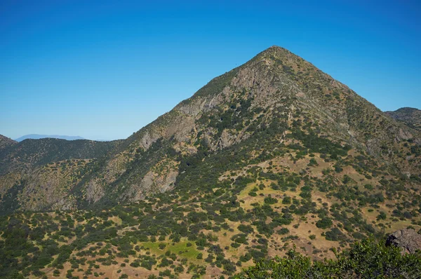 Manquehue навесні — стокове фото