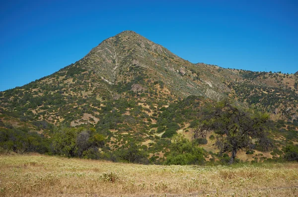 Manquehue in primavera — Foto Stock