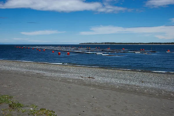 Salmon Farm — Stock Photo, Image