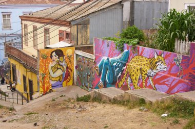 valparaiso sokak sanatı