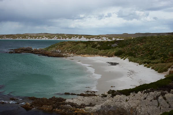 Çingene Cove — Stok fotoğraf