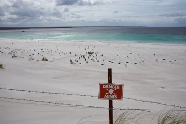 Yorke Koyu'ndaki plaj
