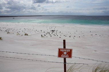 Beach at Yorke Bay clipart