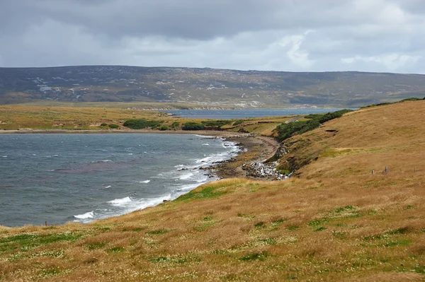 Coast of East Falkland — Stock Photo, Image