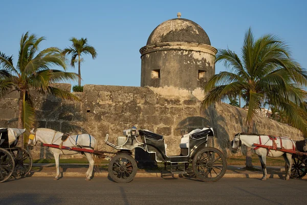 Carruaje tirado por caballos — Foto de Stock