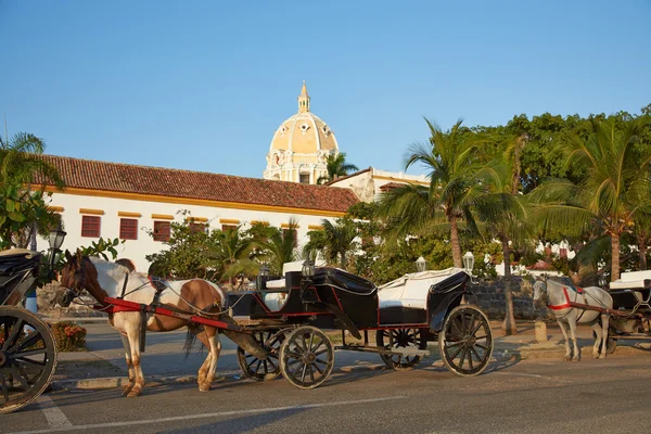 Carruaje tirado por caballos —  Fotos de Stock