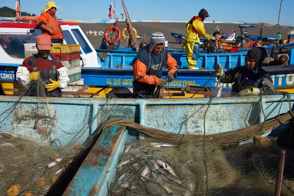 Offloading the Catch — Stock Photo, Image