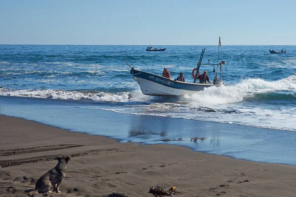 Visserij boot keert terug met de vangst — Stockfoto