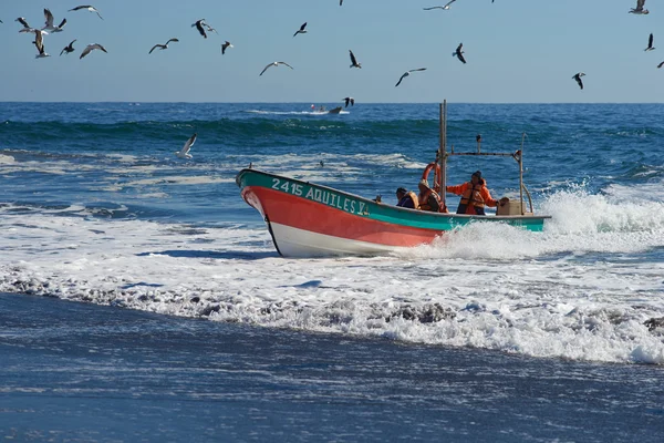 Barca da pesca in arrivo a riva con la cattura — Foto Stock