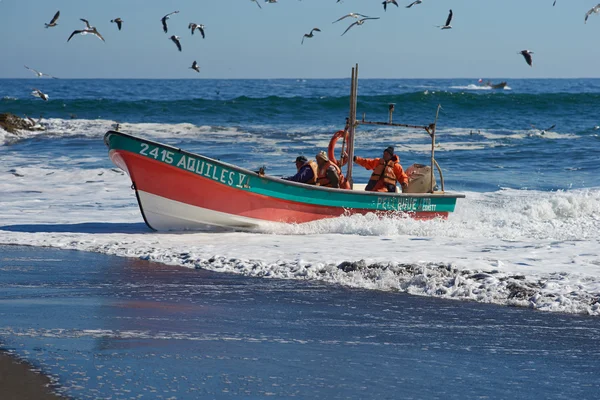 Fishing Boat Coming Ashore with the Catch — Stock Photo, Image