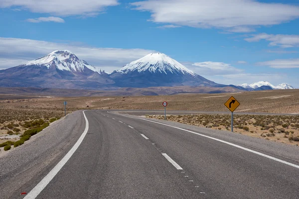 Road on the Altiplano — 图库照片