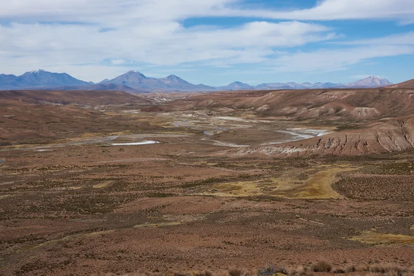 Landscape of the Altiplano — Stock Photo, Image