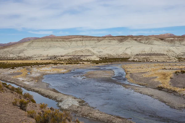 River Lauca — ストック写真