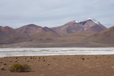 Salt Lake on the Altiplano clipart