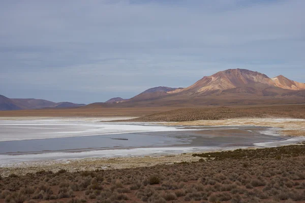 Altiplano tuz gölü etrafında bizimkiler yaşar — Stok fotoğraf