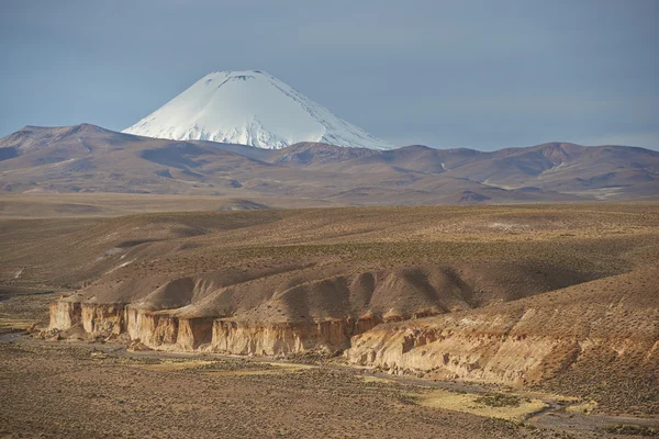 Volcano on the Altiplano — Stock Photo, Image