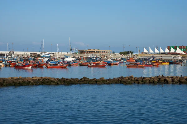 Iquique Harbour — 图库照片