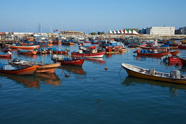 Iquique Harbour — Stok fotoğraf