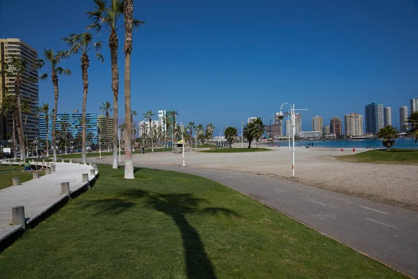 Cavancha-stranden – stockfoto