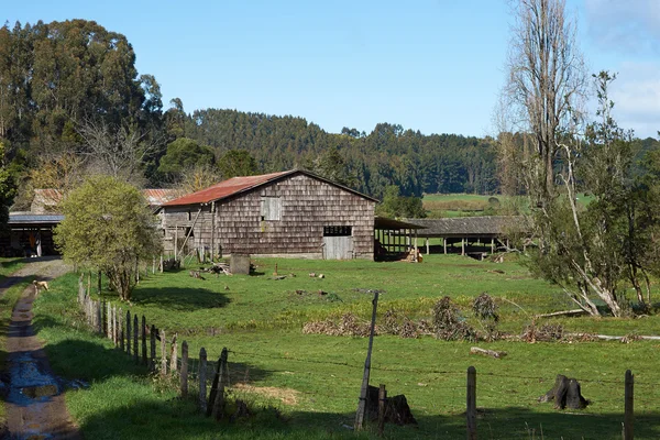 Landsbygdens Chile — Stockfoto