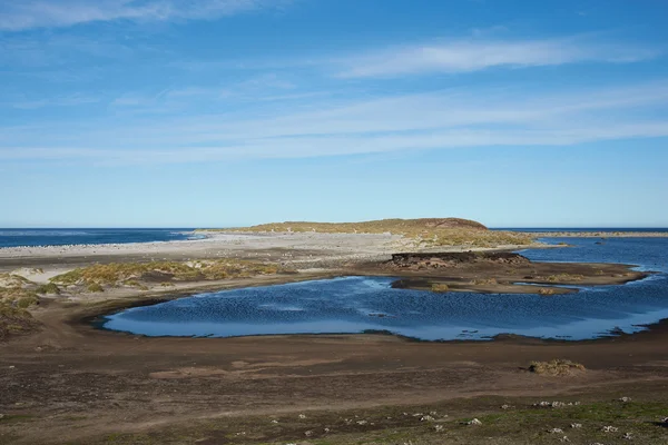 Дика природа Фолклендських островів — стокове фото