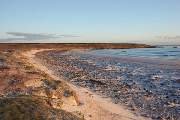 Malebný Záběr Krásné Pobřeží Falklandy — Stock fotografie