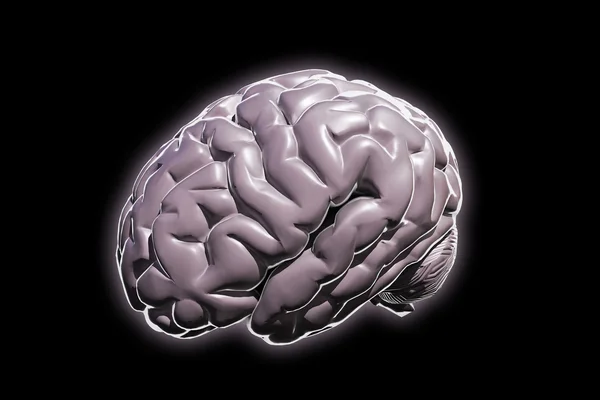 İnsan beyni siyah arkaplanda izole edilmiş. — Stok fotoğraf