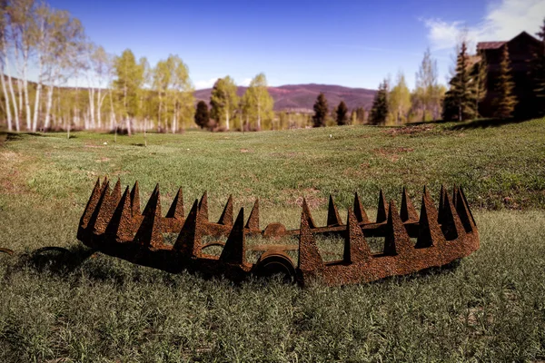 3d ілюстрація ведмежої пастки на зеленій траві — стокове фото