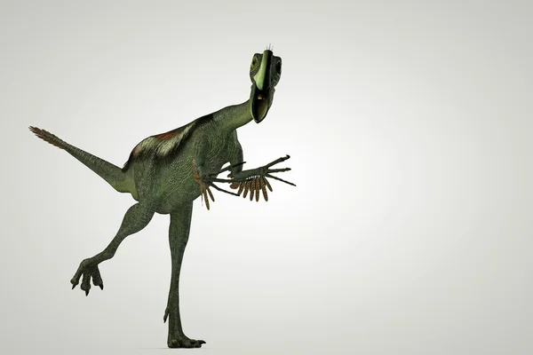 3D illustratie van een Gigantoraptor geïsoleerd op witte achtergrond — Stockfoto