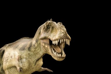 siyah arka plan üzerine izole bir Tyrannosaurus rex 3D çizimi