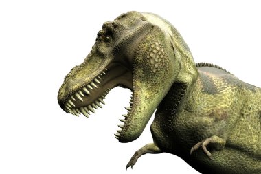 Beyaz arka plan üzerinde izole bir Tyrannosaurus rex 3D çizimi